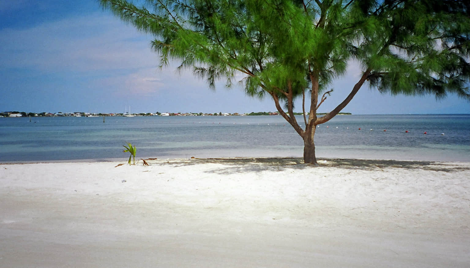 Open Beach, <em>Dubai</em>