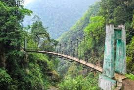 Explore the Forest Trails