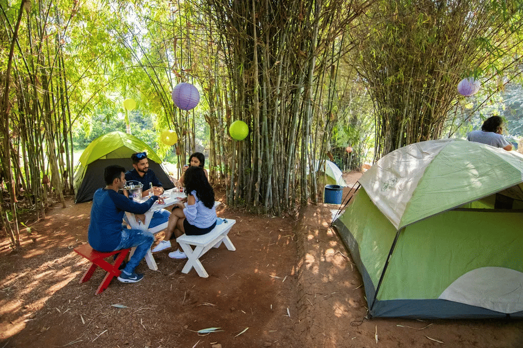 Camping
