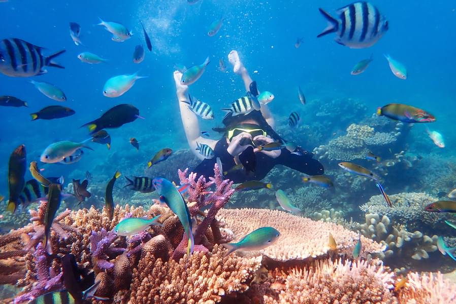 Scuba Diving In Andaman Image
