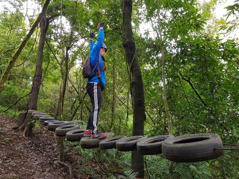 High Rope Adventure Activities with Ziplining Image