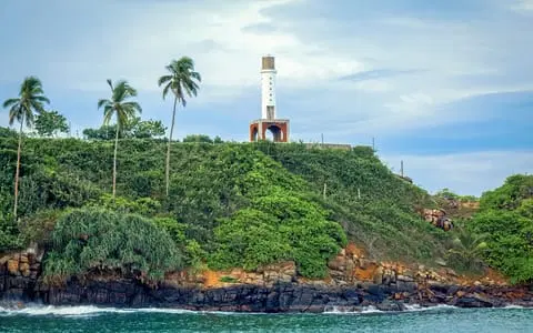 Mirissa Cruises: Cruises in & From Mirissa
