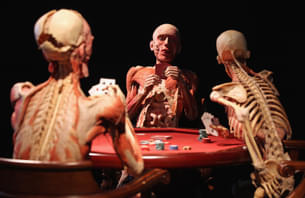 Witness the various plastination specimen at the Body World museum, Berlin