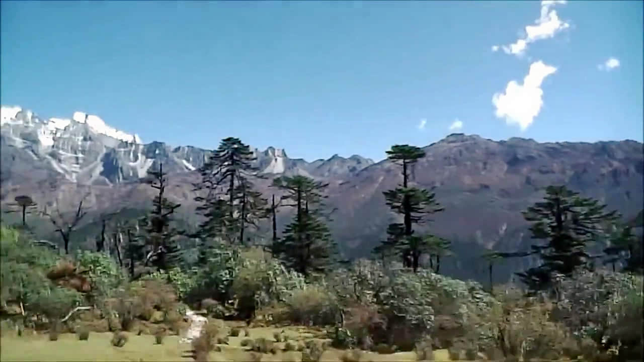 Photo from Meena Patil's trip
