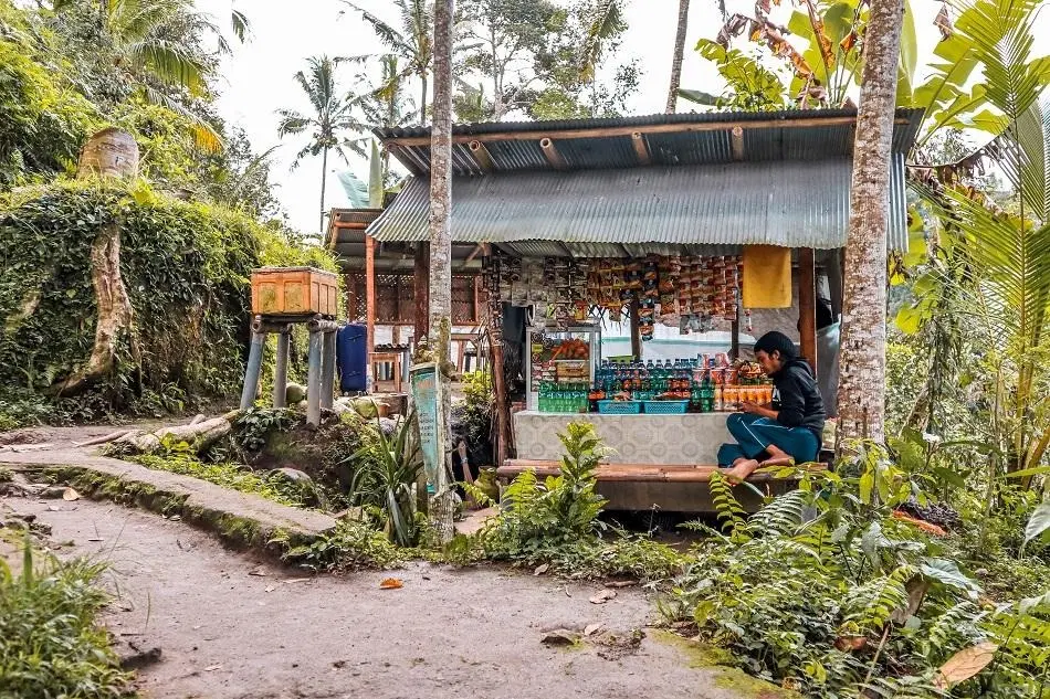 Explore the Nearby Falls and Local Stalls