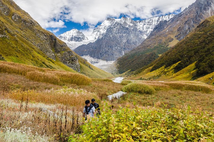 Dayara Bugyal Trek Image