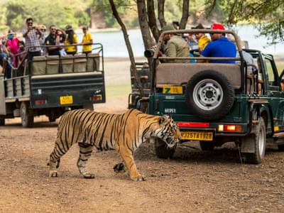 Delhi Agra Ranthambore Tour Package Day 1