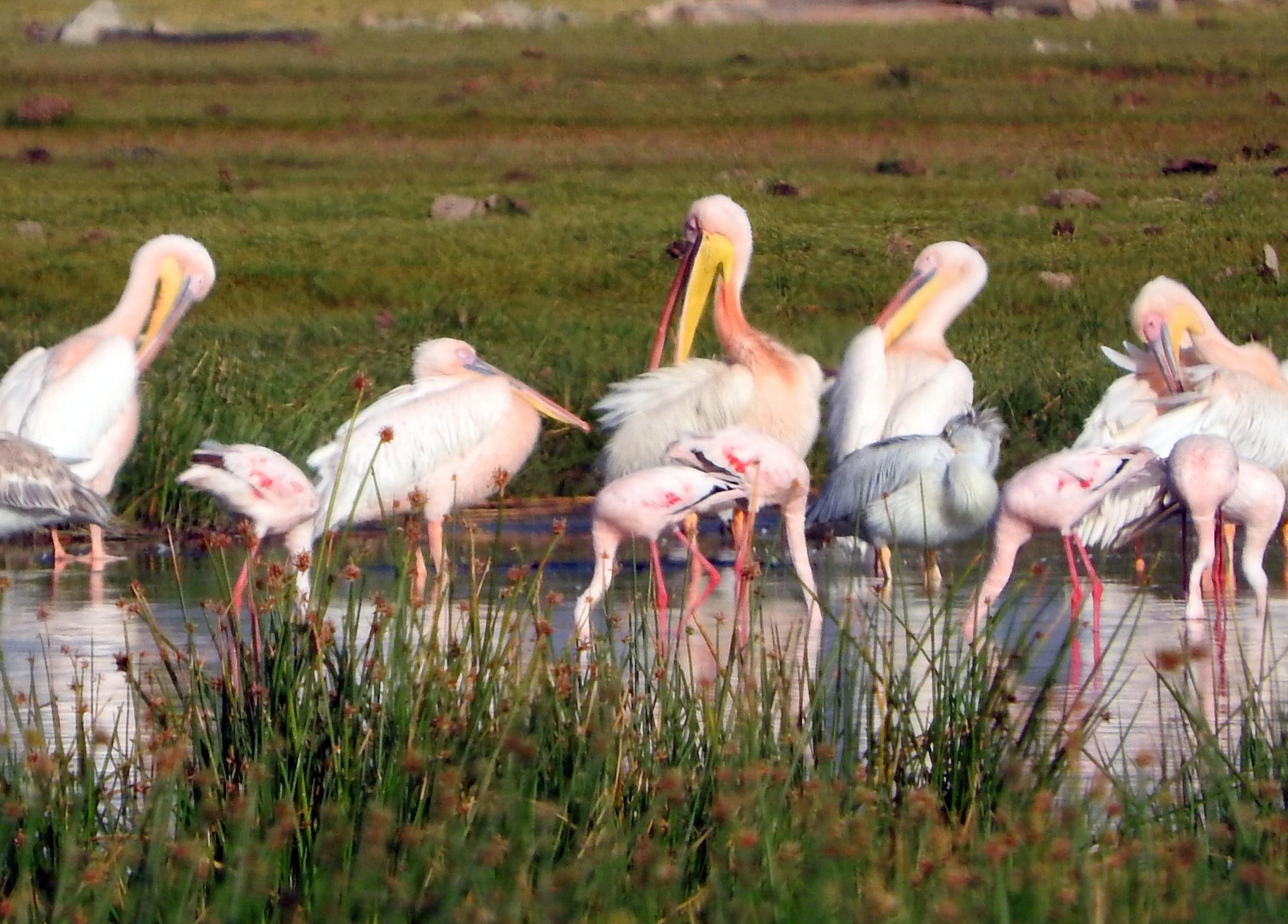 Soysambu Conservancy Overview