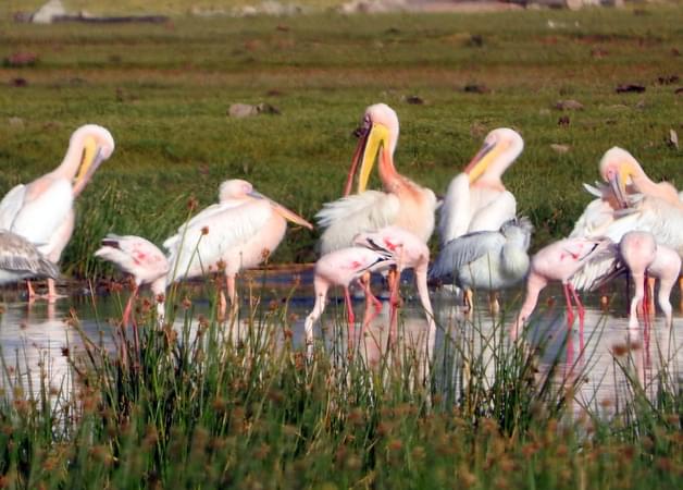 Soysambu Conservancy