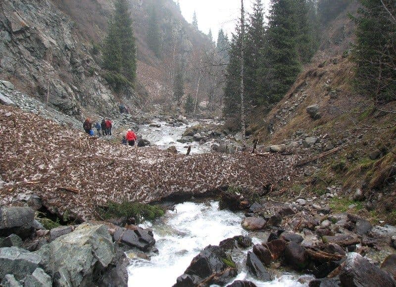 Alma-Arasan Springs Image