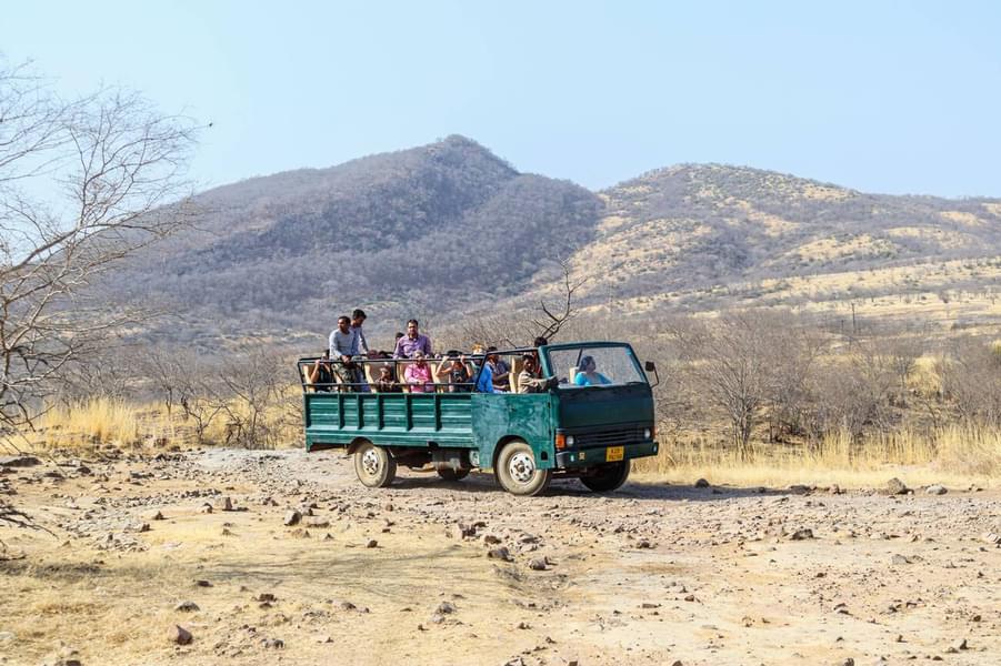 Sariska Jeep Safari Image