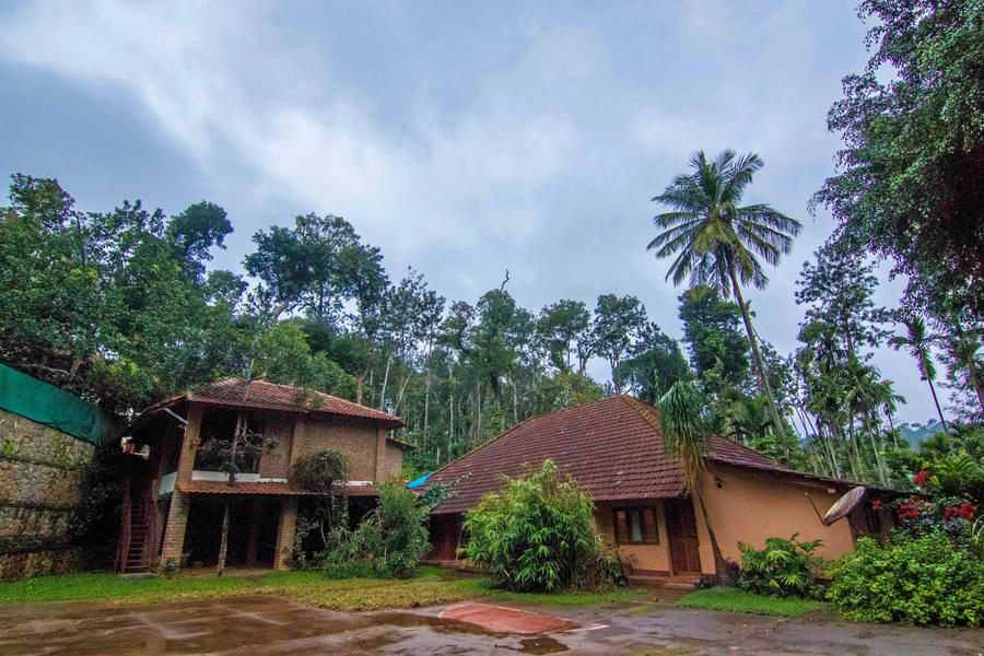 A Thrilling Escape into the Scenic Beauty of Coorg Image