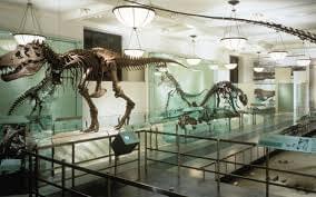 Learn about extinct species at Fossil Hall