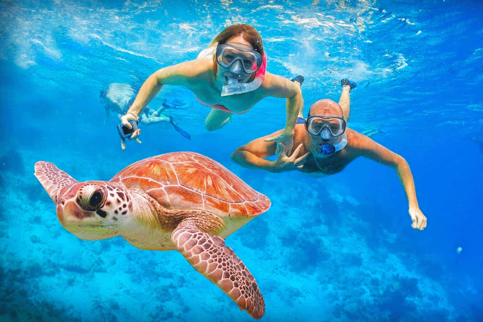 Snorkeling in Mirissa
