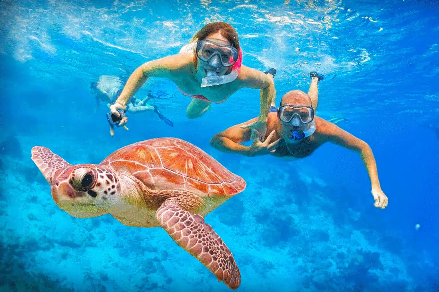 Snorkeling in Mirissa