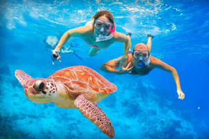 Create fun memories with your companions