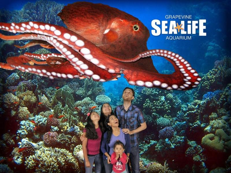 Know more about various marine creatures at SEA LIFE Aquarium