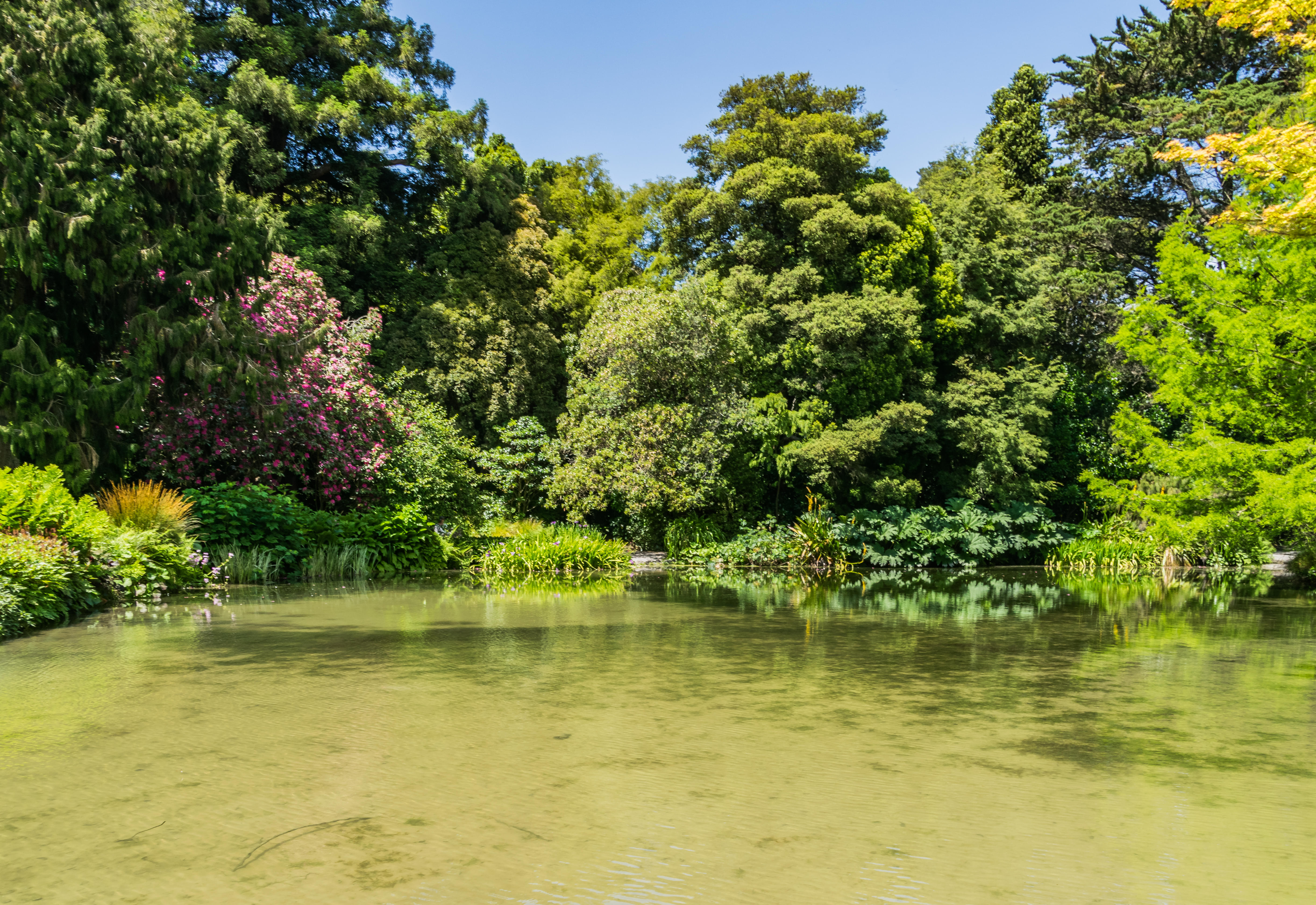 Christchurch Botanic Gardens