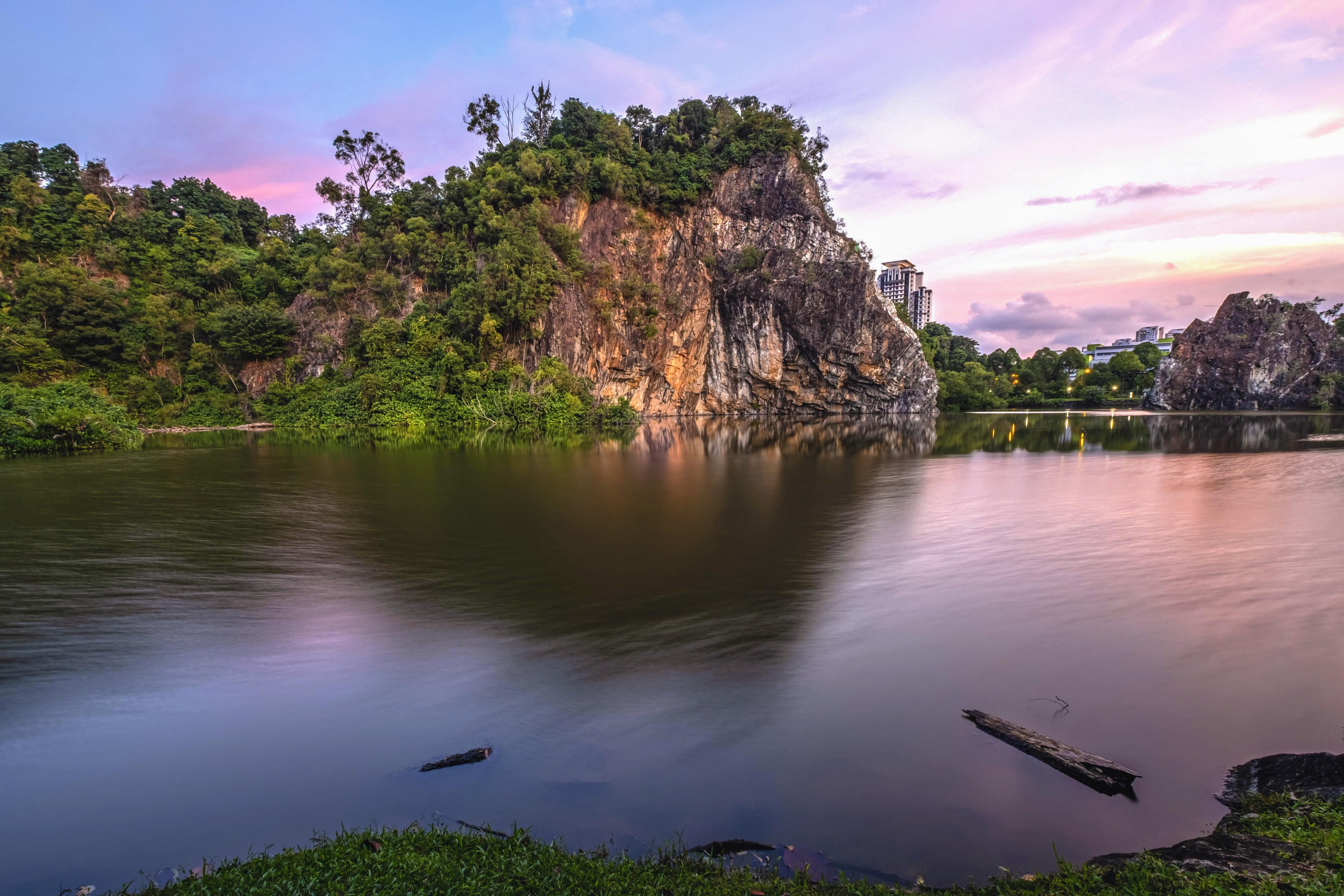 Bukit Batok Nature Park Overview