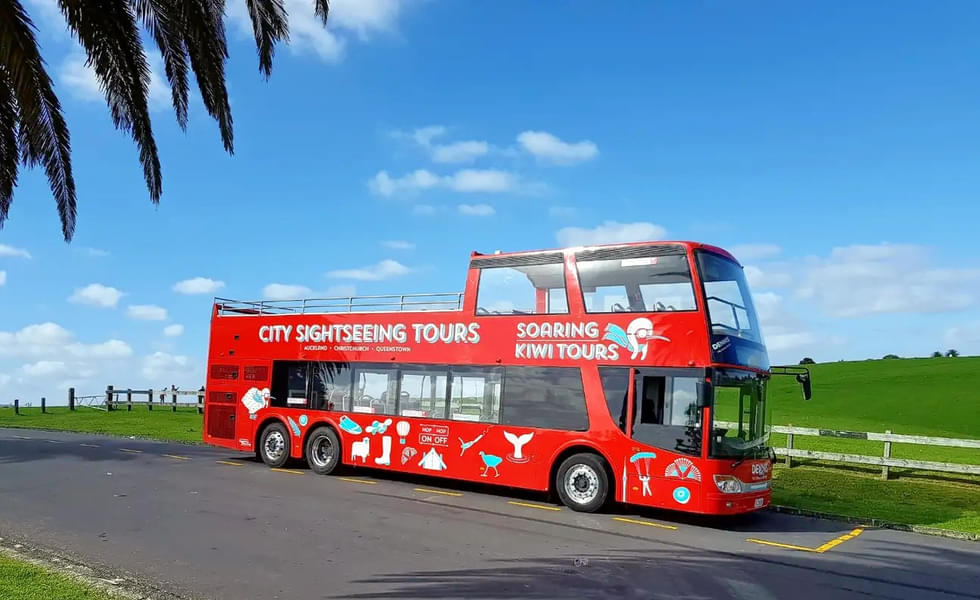 Auckland Hop-on Hop-off Explorer Bus Image