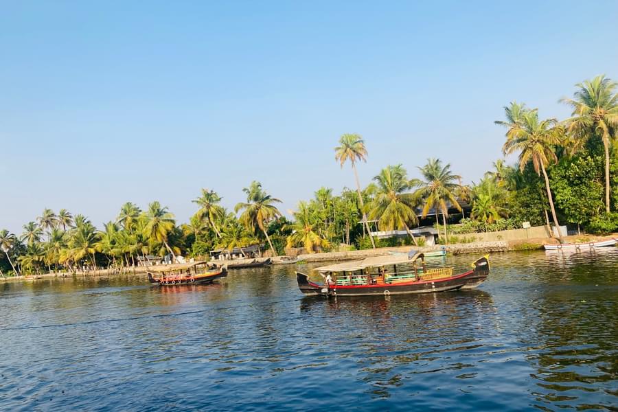 Shikara ride at Poovar island, Kerala Image