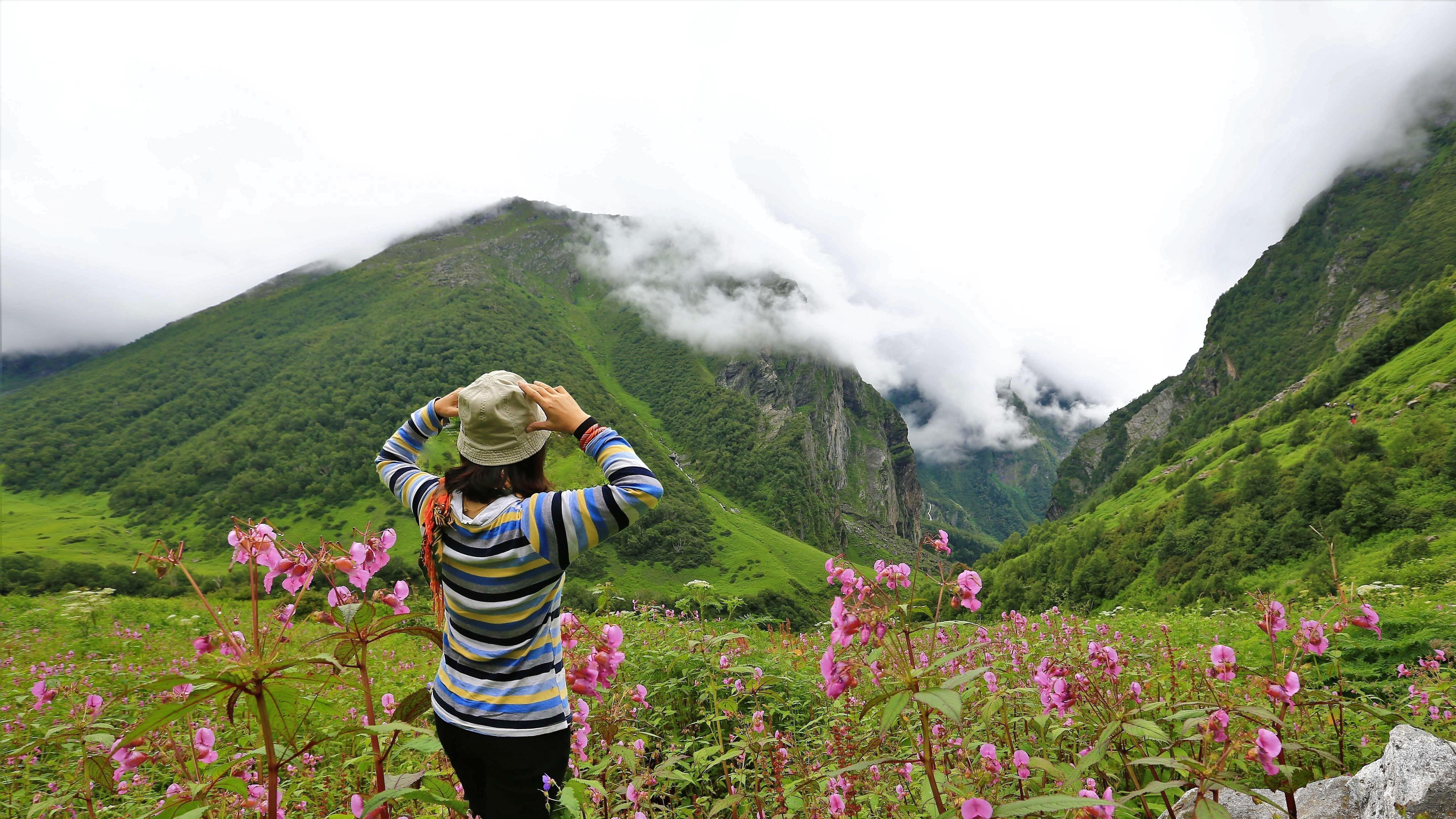 valley of flowers trek