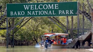 Embark on a trip to the Bako National Park