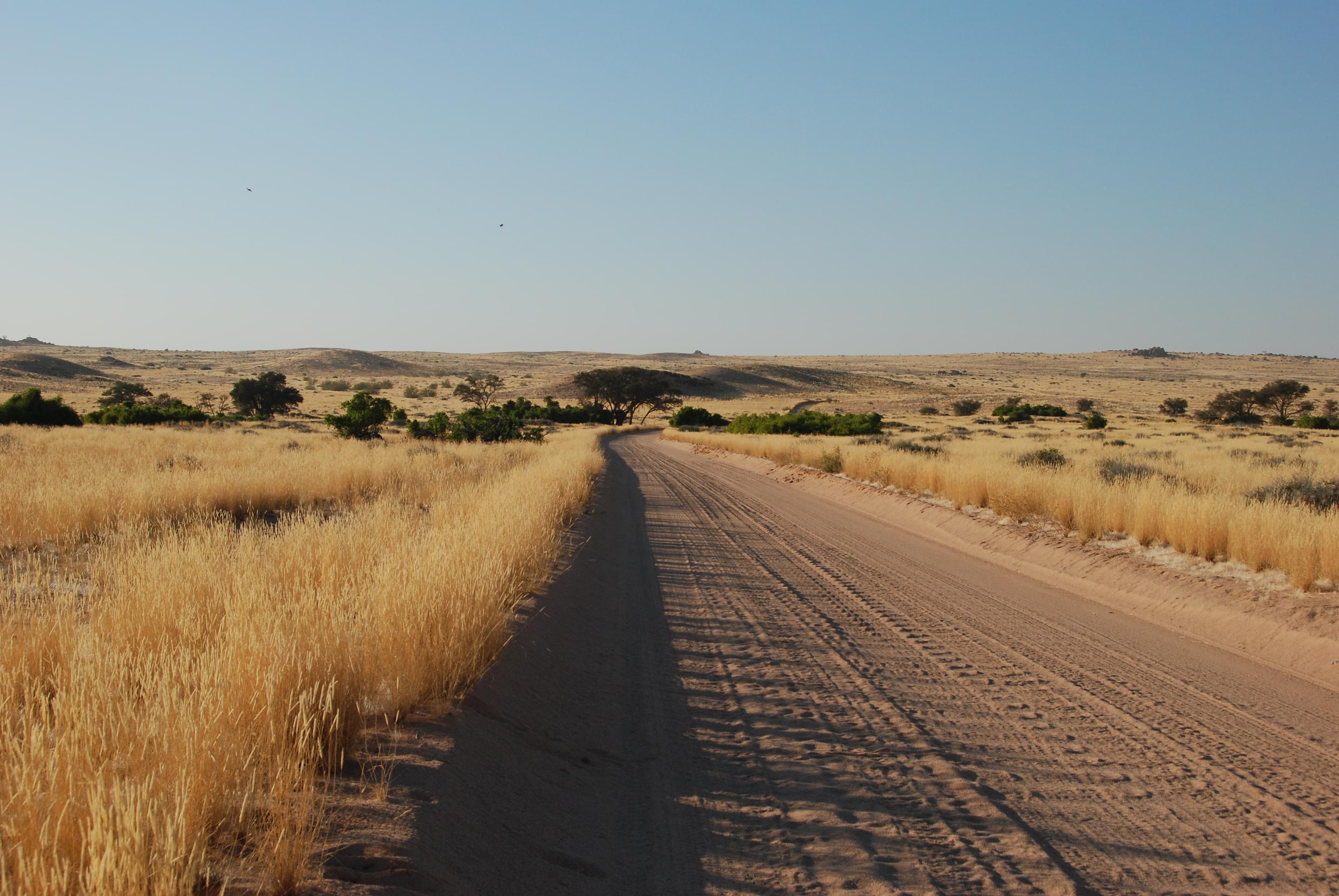 Damaraland Overview