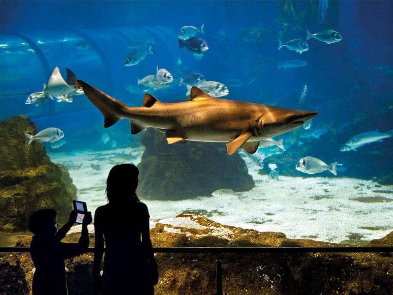 Aquarium Barcelona, Spain