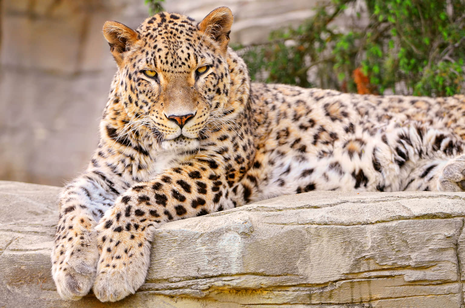 Zoo Bern