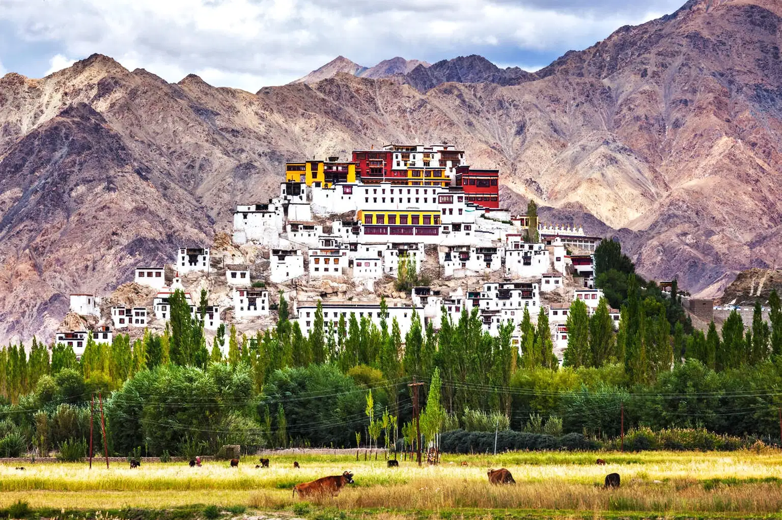 Best of Ladakh | From Mountain Passes to Ancient Monastries