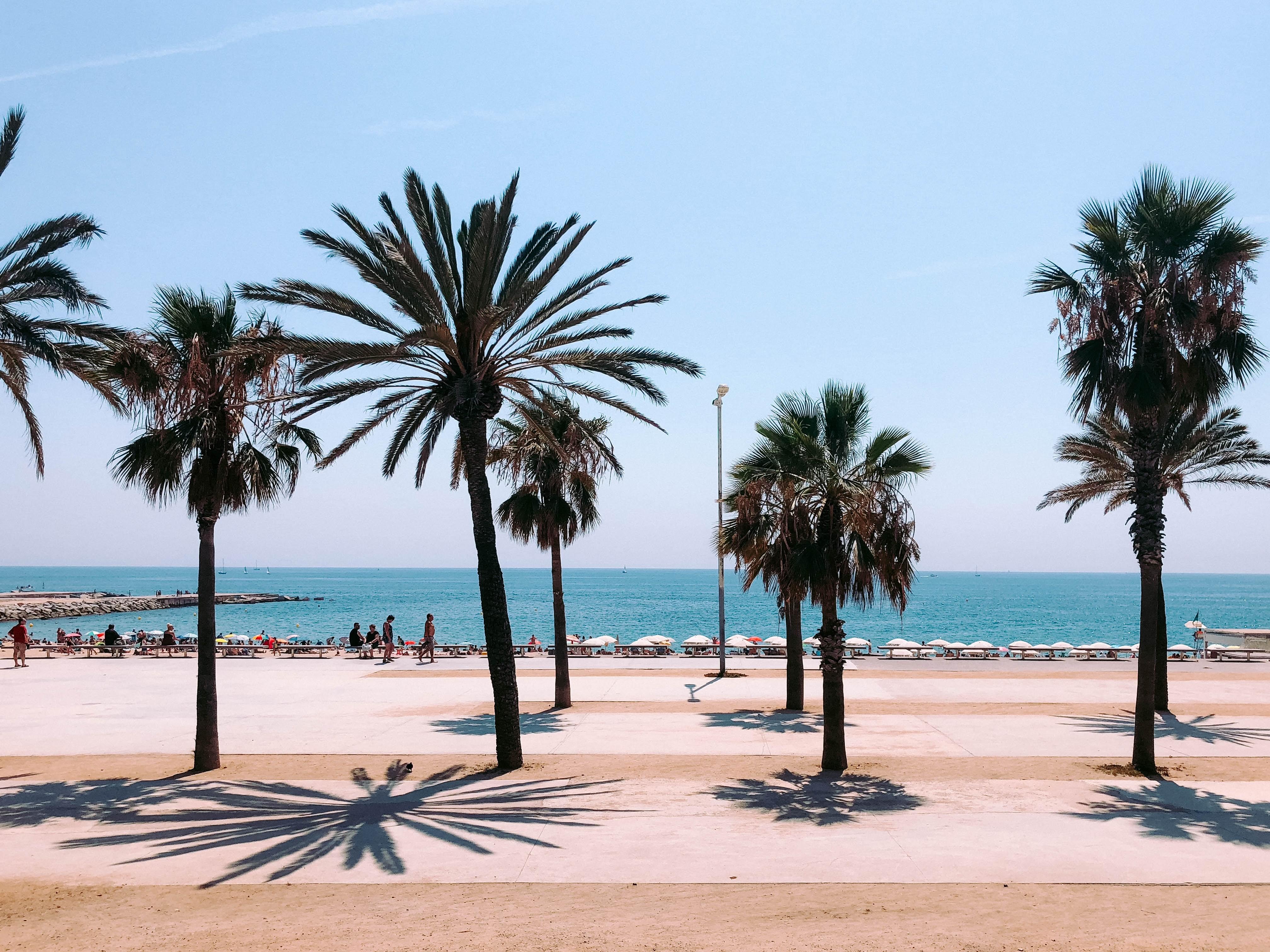 Barcelona sea view
