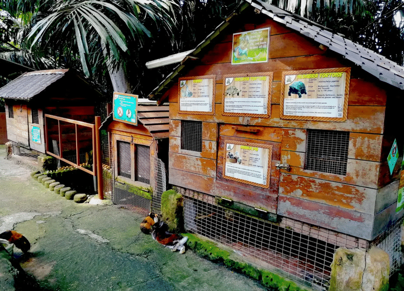 Natural habitat of animals in MIni Zoo