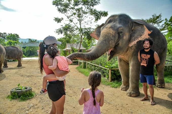 Phuket Elephant Jungle Sanctuary