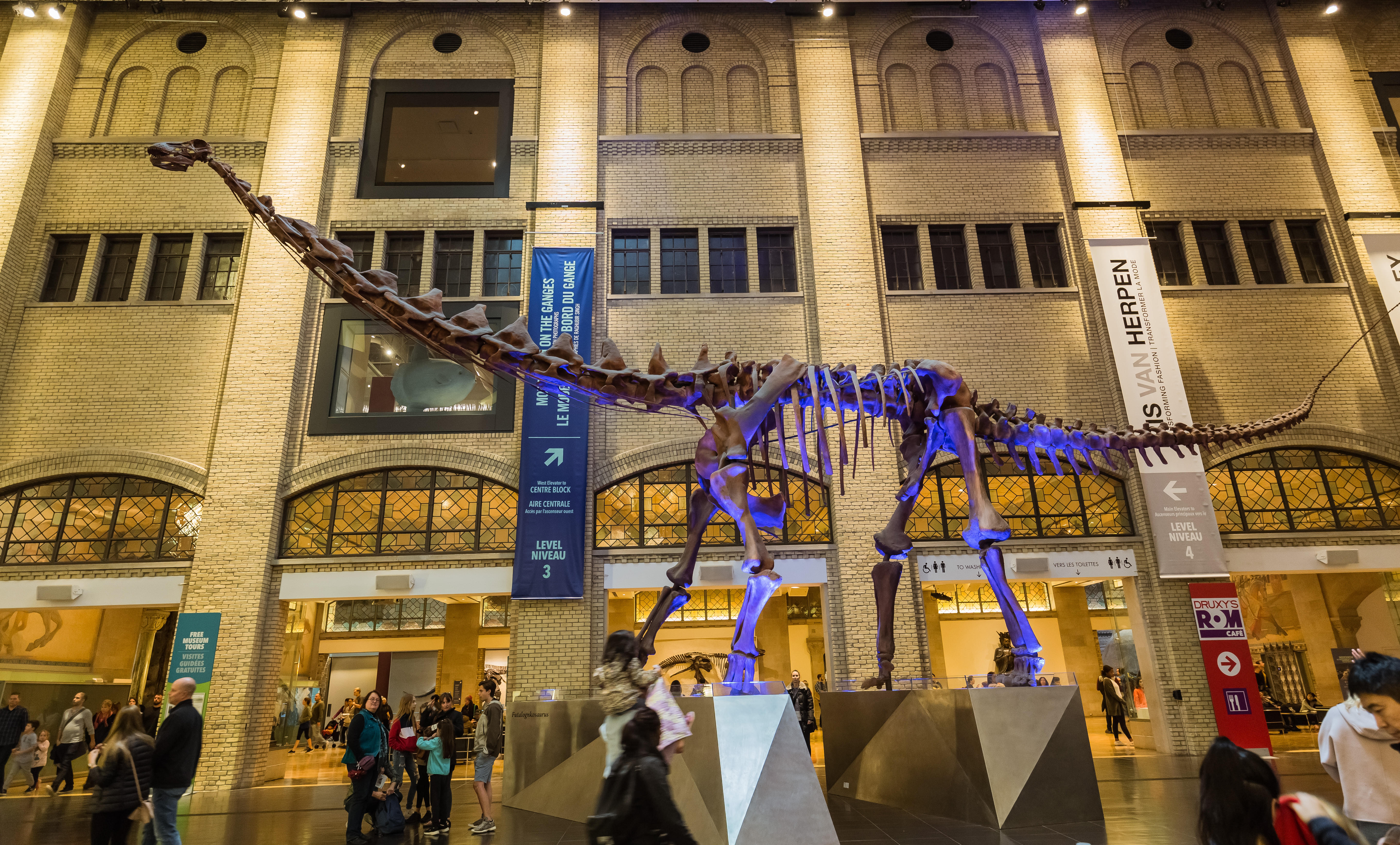 Royal Ontario Museum (@ROMtoronto) / X