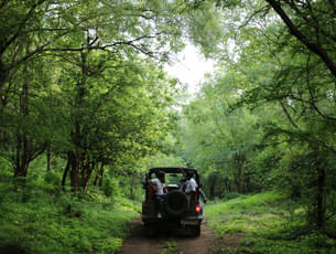 Go on a fun Safari through Aravali Hills