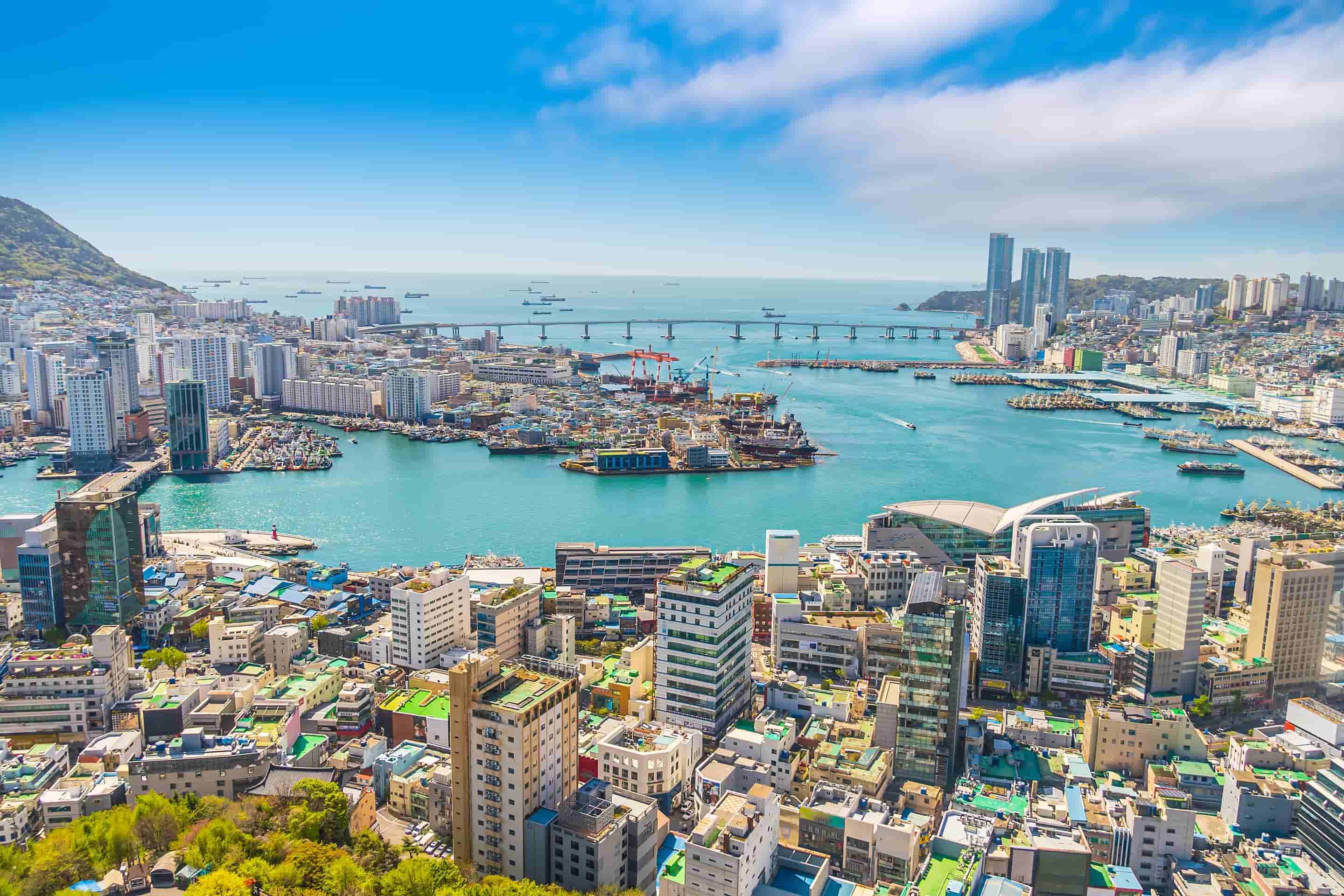 Busan Tour Packages