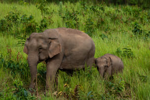 Ovcoawhkwmeqij90fmrfjuc4gt0y rotterdam%20zoo%203