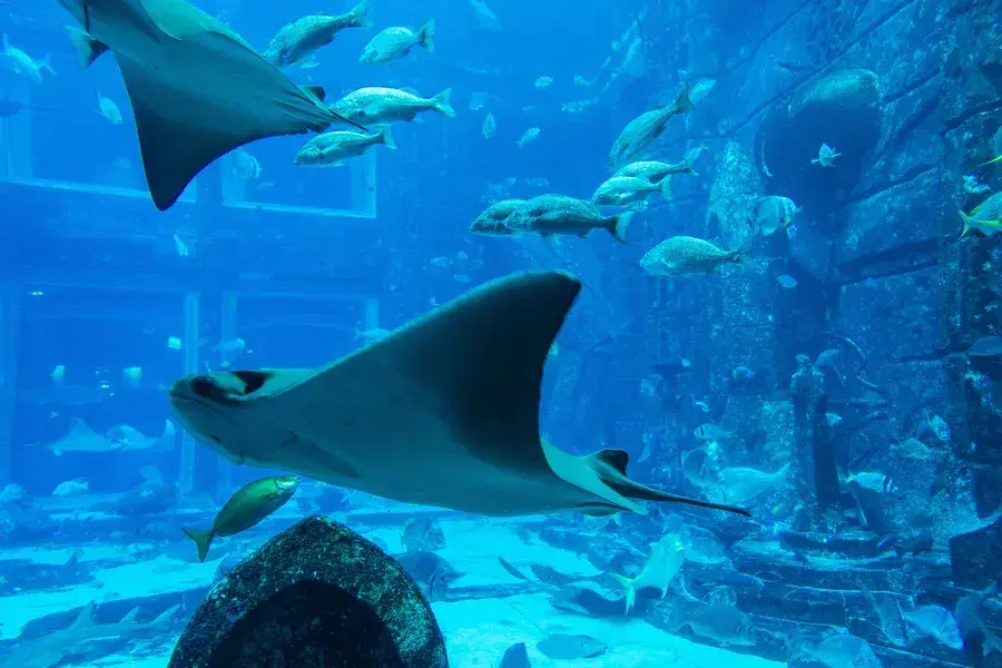 Atlantis Water Park