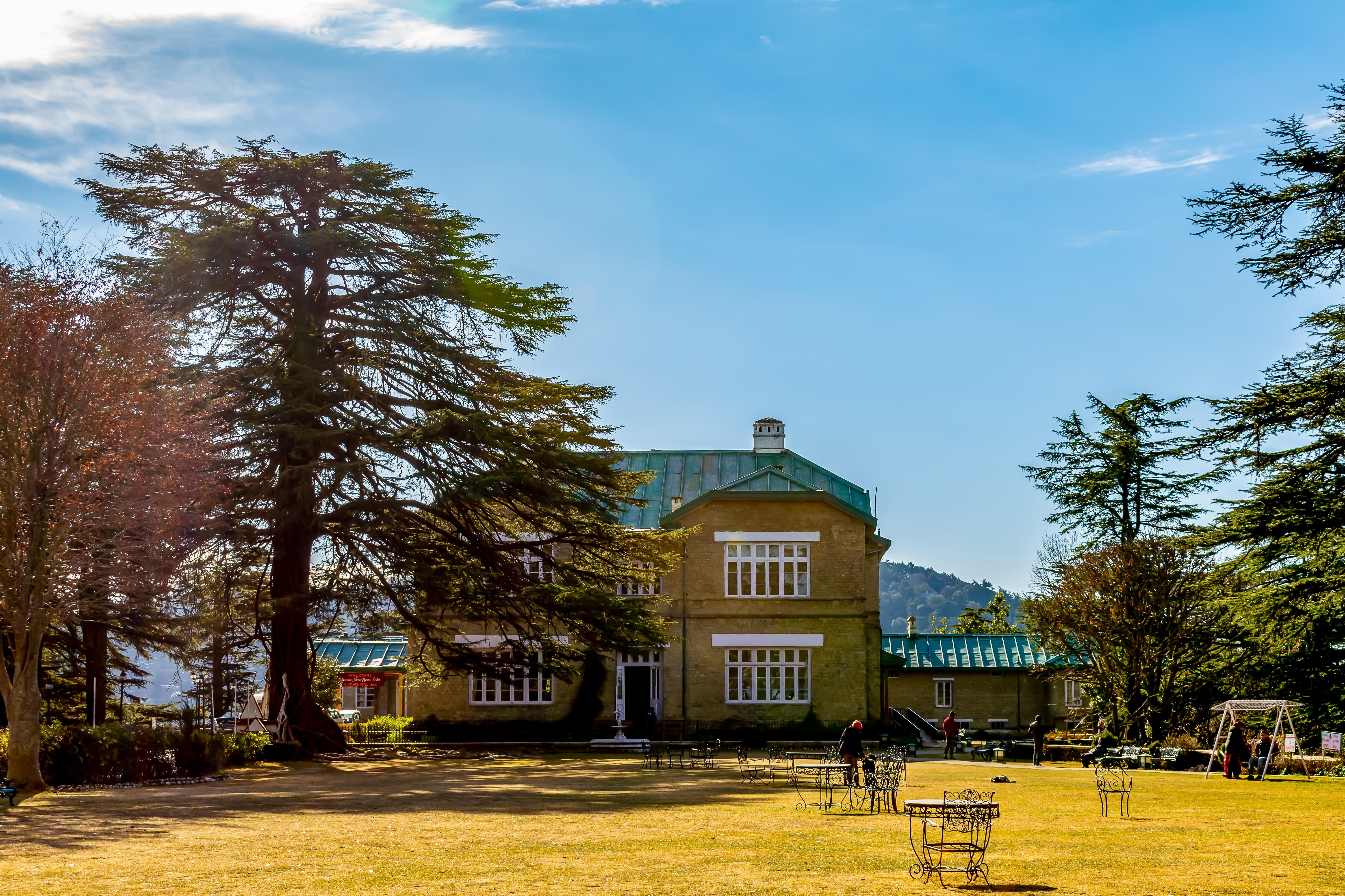 Golden valley cottages, Chail, Chail – Updated 2024 Prices