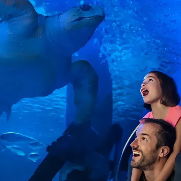 Walk through the aquarium's 180 degree ocean tunnel