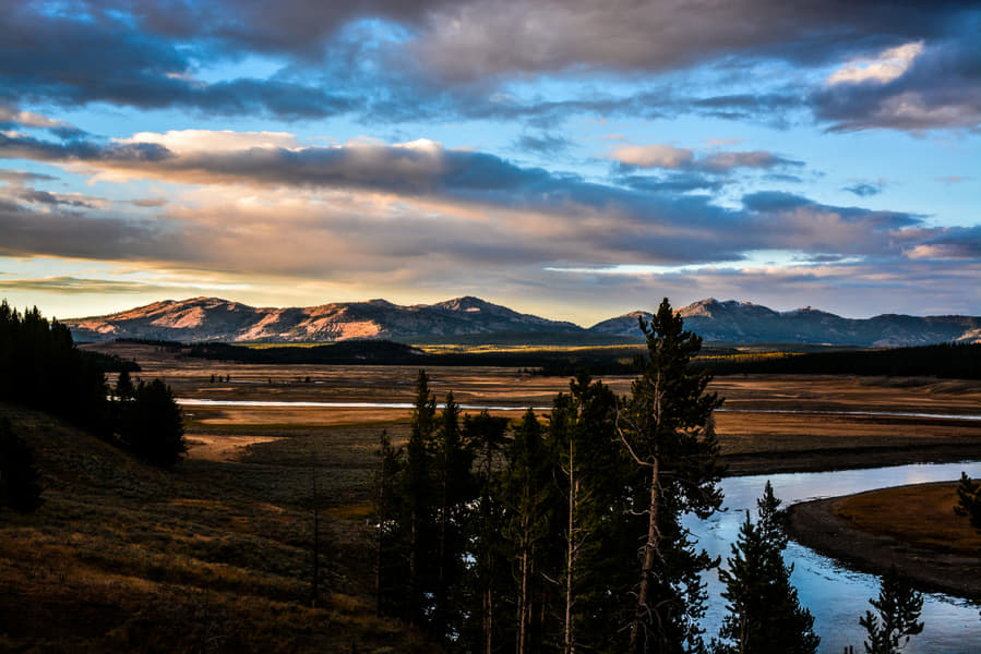 Yellowstone National Park Day Tour Image