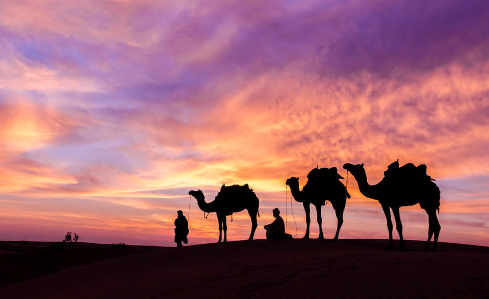 Things to Do in Jaisalmer