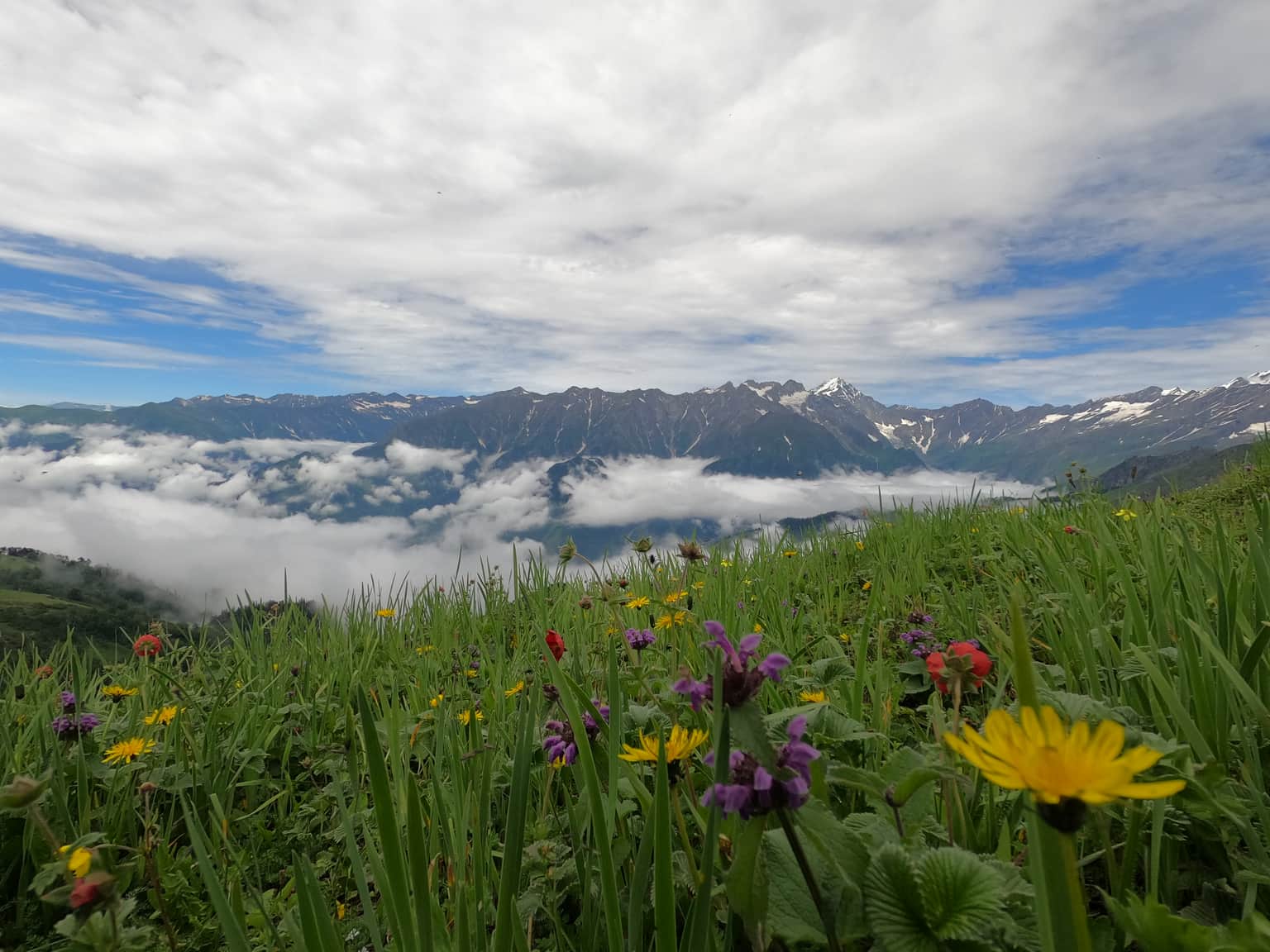 Photo from Abhishek Agarwal's trip