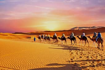 Ride camels across golden dunes in Merzouga’s desert