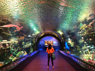 New York Aquarium Tickets