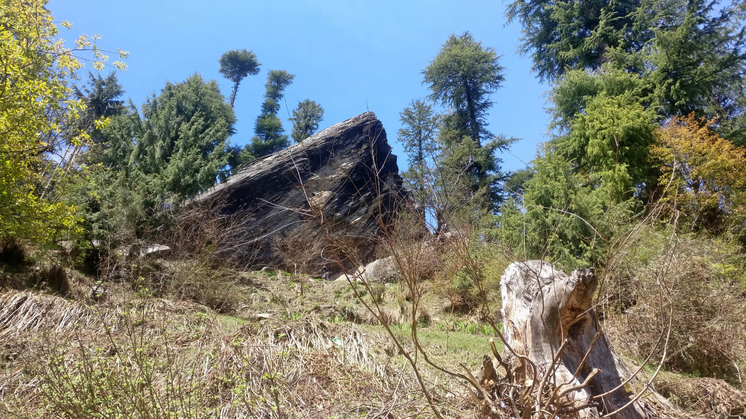Photo from ravi shekhar's trip