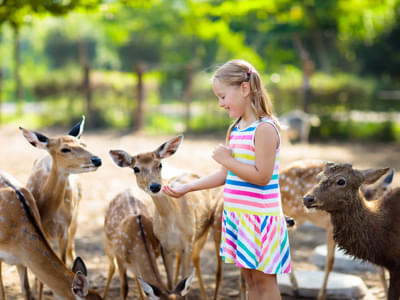 Visit Woodland Park Zoo with your loved ones