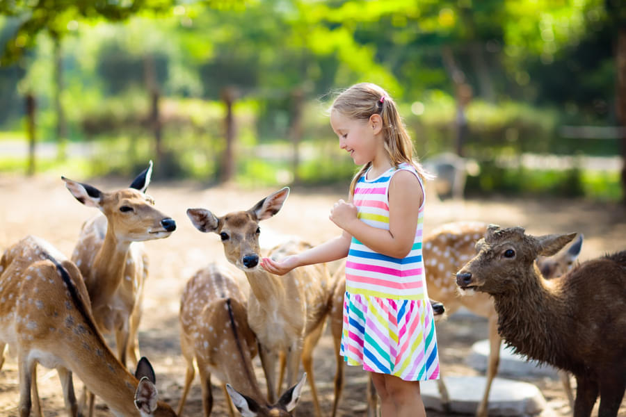 Visit Woodland Park Zoo with your loved ones