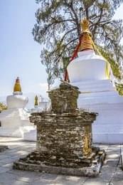 Witness the Thong-Wa-Rang-Dol Chorten